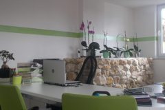 DSCN1762-e1584037325444