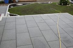 P1000213-e1584036119149