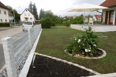 P1000217-e1584036083929