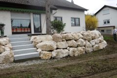 P1010038-e1584035936480