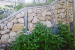 P1010069-e1584035636638