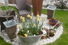 P1010096-e1584035531778