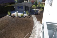 P1010119-e1584035510503