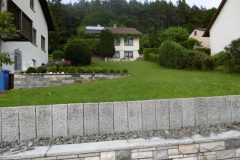 P1010186-e1584035332527