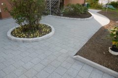 P1020248-e1584035256193