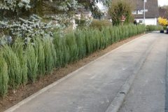 P1040625-e1584034956809