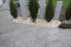 P1040703-e1584034764626