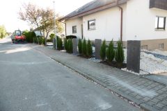 P1050076-e1584034288223