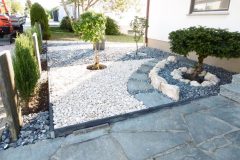 P1050080-e1584034256366