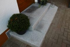 P1050241-e1584034038807