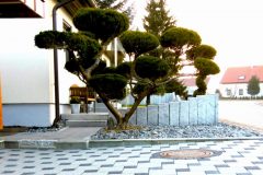 header1-e1584036870719